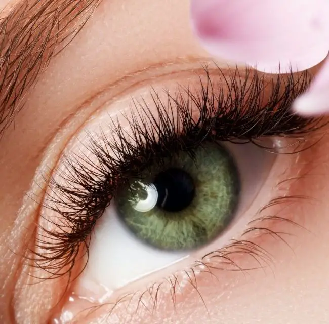 How Many Times Can You Reuse Ardell Lashes