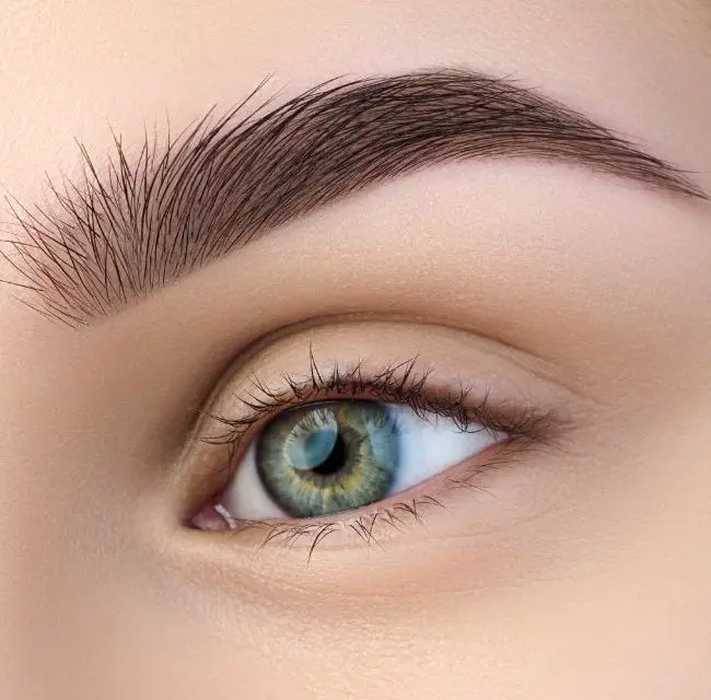 Anastasia Brow Brush Dupe: Best Dupes For Anastasia’s Brow Brushes