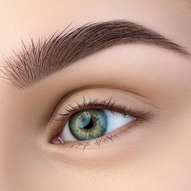 Anastasia Brow Brush Dupe Best Dupes For Anastasia’s Brow Brushes