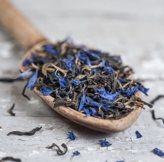 Is Earl Grey Tea Healthy: Health Benefits of Earl Grey Tea