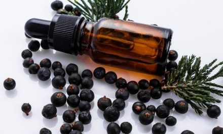 What is Juniper Essential Oil Good For: Top 5 Health Benefits of Juniper Berry Oil