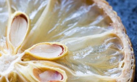 Eating Lemon Seeds: What Happens If I Eat a Lemon Seed?
