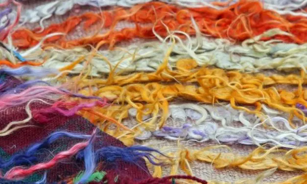 Why Use Sustainable Wool?