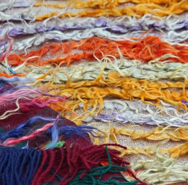Why Use Sustainable Wool?