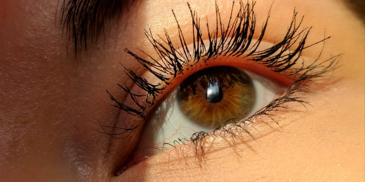 Top 5 Best False Lash Mascara Faves