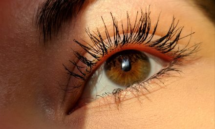 Top 5 Best False Lash Mascara Faves