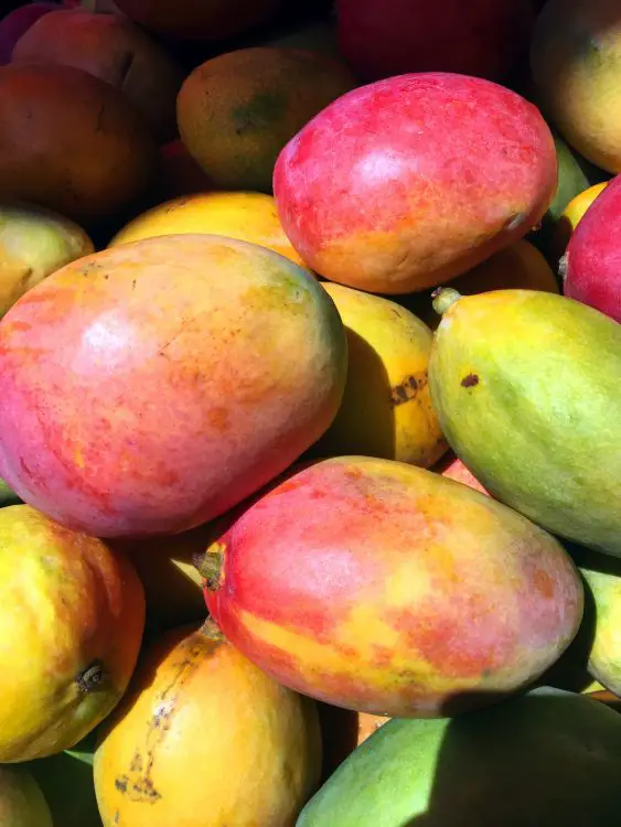 are ripe mangoes acidic