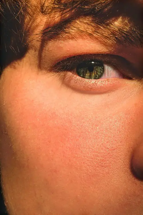 Apply Primer Before or After Sunscreen
