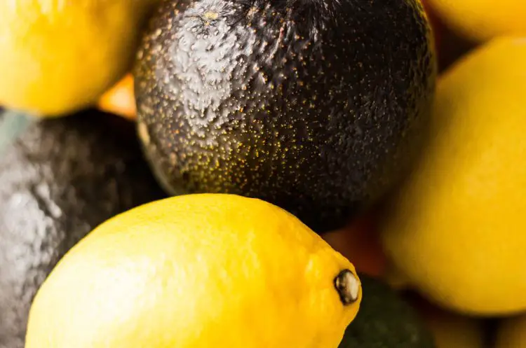 lemon and avocado