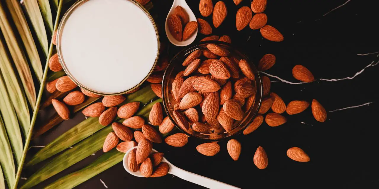 Does Almond Milk Make Your Boobs Bigger? – The Truth, Told