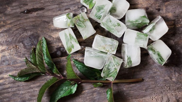 Cucumber And Green Tea Ice Cubes (a Simple Diy For Refreshed, Ready To Makeup Skin)