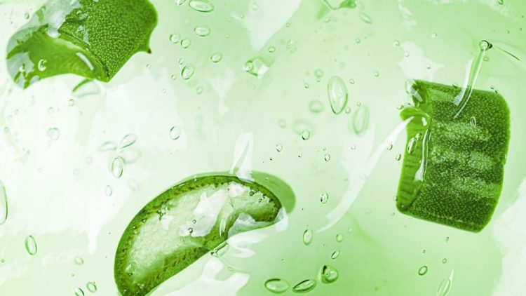 Frozen Aloe Cubes (and Does “skin Icing” With Aloe Actually Work?)