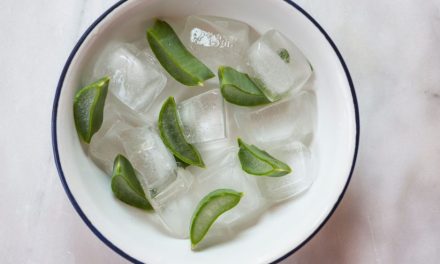 Frozen Aloe Cubes (And Does “Skin Icing” With Aloe Actually Work?)