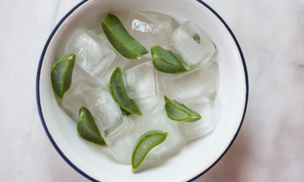 Frozen Aloe Cubes (And Does “Skin Icing” With Aloe Actually Work?)