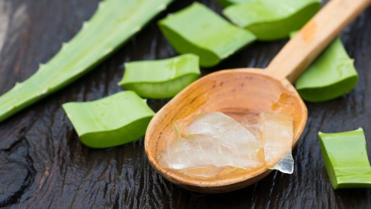 Frozen Aloe Cubes (and Does “skin Icing” With Aloe Actually Work?)
