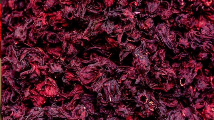 Hibiscus Hair Masks: A Natural Fix For Softer, Stronger Hair