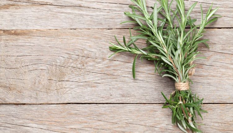Rosemary Water For Hair Growth (what It Is, How To Make It, And What The Science Actually Says)