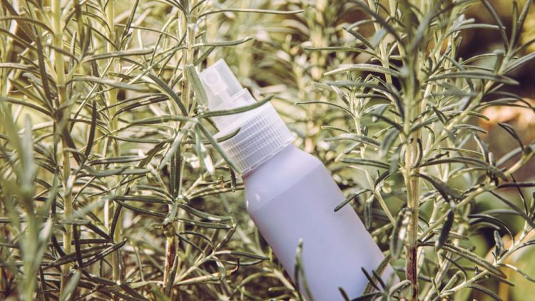 Rosemary Water For Hair Growth (what It Is, How To Make It, And What The Science Actually Says)