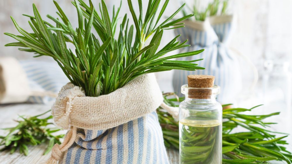 Rosemary Water for Hair Growth (What It Is, How to Make It, and Is the Hype Real)