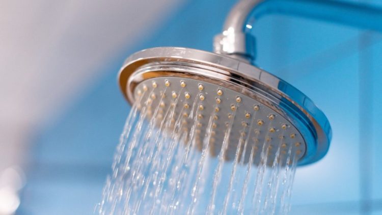What Is The “everything Shower” (and Is It Actually Worth It?)